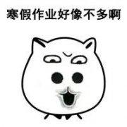 逗比搞笑微信头像 微信逗比搞笑头像大全