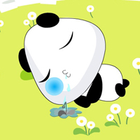 熊猫微信头像图片 微信熊猫头像图片大全