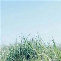 女生微信头像图片清新淡雅