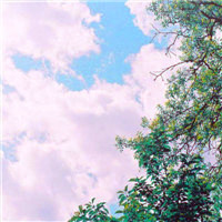 女生微信头像图片清新淡雅