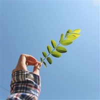 女生微信头像图片清新淡雅