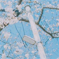 女生微信头像图片清新淡雅