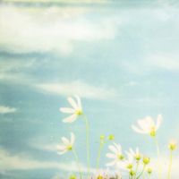 女生微信头像图片清新淡雅