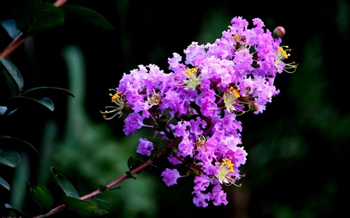 网红个性签名简短2019 2019网红个性签名