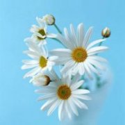 适合大妈年龄的微信头像