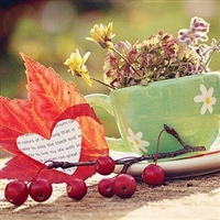 适合大妈年龄的微信头像