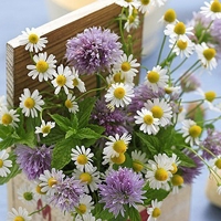 适合大妈年龄的微信头像