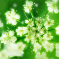 适合大妈年龄的微信头像