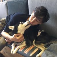 80后男人微信头像图片大全