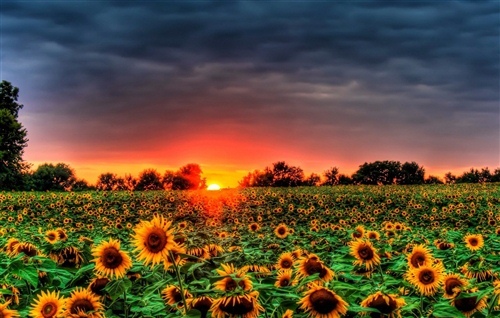 希望家里人健康平安的个性签名