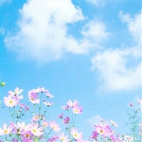 适合男女通用的头像 男女通用微信头像图片大全