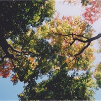 适合男女通用的头像 男女通用微信头像图片大全