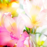 适合男女通用的头像 男女通用微信头像图片大全