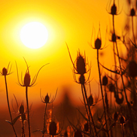 中年妈妈用的微信头像高清优雅