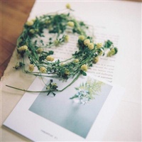 中年妈妈用的微信头像高清优雅