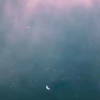 中年妈妈用的微信头像高清优雅