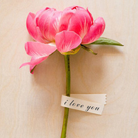 中年妈妈用的微信头像高清优雅