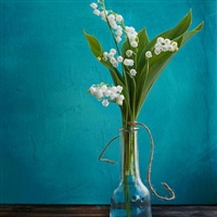 中年妈妈用的微信头像高清优雅