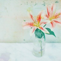 2020年最流行的微信头像