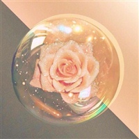 2020年最流行的微信头像