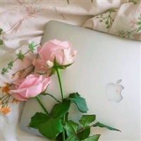 2020年最流行的微信头像