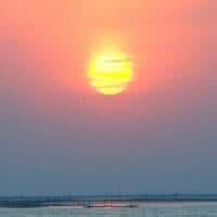 2020年最流行的微信头像