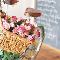 2020年最流行的微信头像