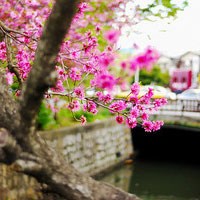 2020年最流行的微信头像