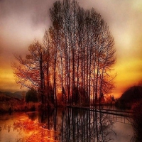 适合年龄大的人用的微信头像