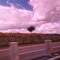 适合年龄大的人用的微信头像