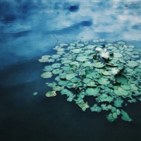 适合年龄大的人用的微信头像