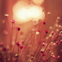 适合年龄大的人用的微信头像