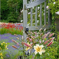 适合年龄大的人用的微信头像