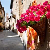 适合年龄大的人用的微信头像