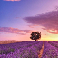 适合年龄大的人用的微信头像