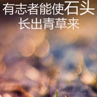 男人坚韧不拔的微信头像