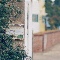 40岁女人最适合的微信头像