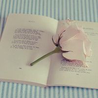 40岁女人最适合的微信头像