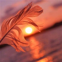 2020带来好运的微信头像风景