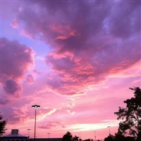 2020带来好运的微信头像风景