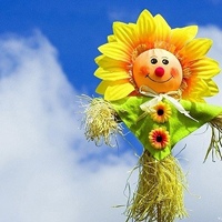 2020带来好运的微信头像风景