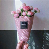 2020带来好运的微信头像风景