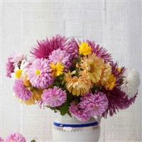 2020带来好运的微信头像风景