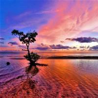 2020带来好运的微信头像风景