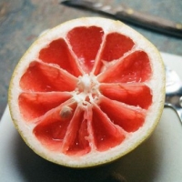 2020带来好运的微信头像风景