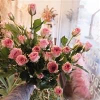 2020带来好运的微信头像风景