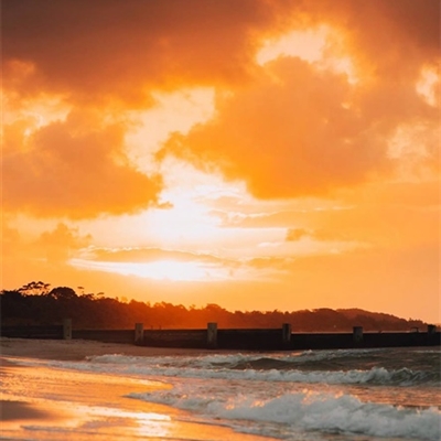 40一50岁男微信头像寓意好的