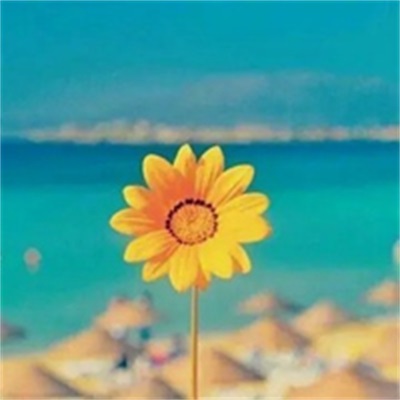 百看不厌的微信头像