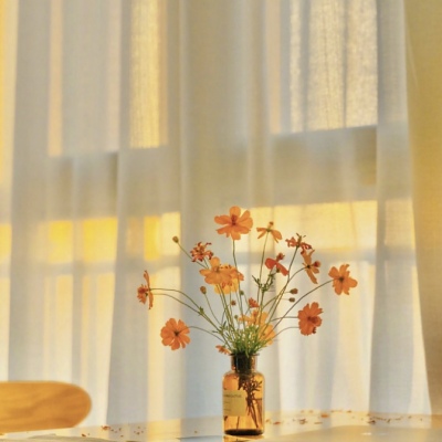 让人看了永久不想换的头像(精选10张)