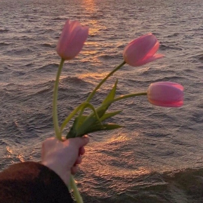 30一40岁女人微信头像风景图片(精选14张)